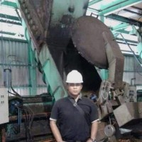 T. surya