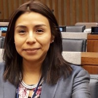 Marisol Hernández M
