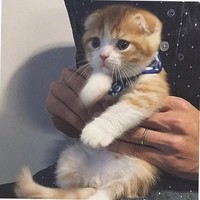 许巧玉