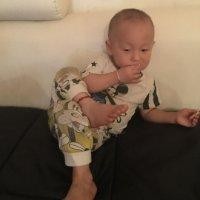高大鹏