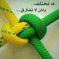 طارق بخيت