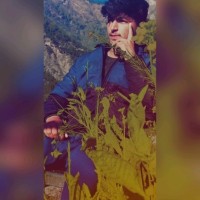Priyanshu Sailoni Sailoni