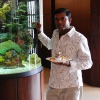 Heyson Dsilva