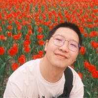 应新新