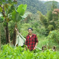 Laura Maria Alayon Hurtado