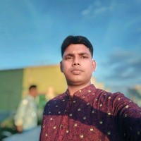 Md. Arif Ali