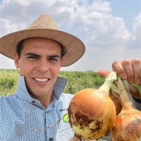 Eduardo Valim