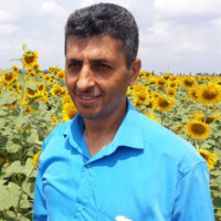 morteza nouralizadeh