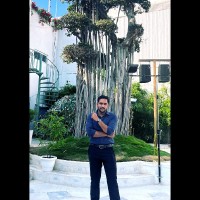 Bhupendra Singh Rathore
