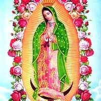 Marina Frias