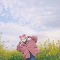 王盼盼