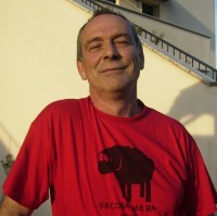 Fausto Stefanelli