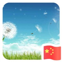 叶卫东