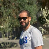 Mehdi Aboulwafa