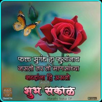Pradeep Kumar Yadav