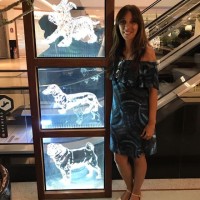 Eneida Tec. de segurança