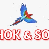ashok sons ltd