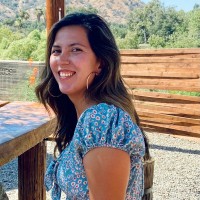 Yvette Bravo-Madrigal, Msw, Asw