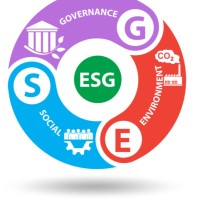 ESG API