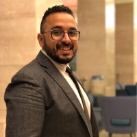Waleed Elginady
