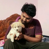 Satish Kumar Bhogadi