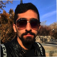 Hadi Gheysarnezhad