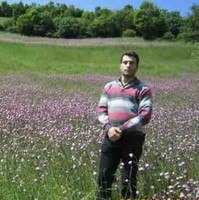 Hamzeh Farahi