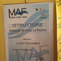 Luigi Tolomeo