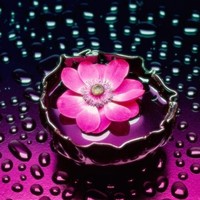 Pradeepa C