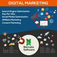 Mercalix software
