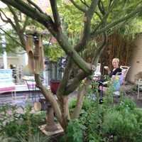Lesley Pennie