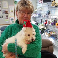 Cathy Jorgenson, DTM