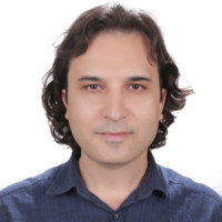 Hakan Oguz Dulkadiroglu