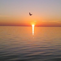 NESTOR ANIBAL CABRERA