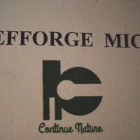 Michel Defforge