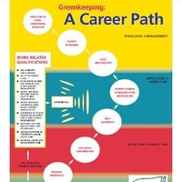 Career Path