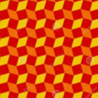 Michiel van der Veer