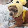 민지수