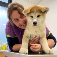 Isabelle de Tarragon