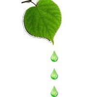 Bioskincare Cosmeceuticos