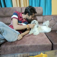 Vikas Kaushik