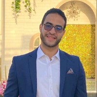 Abdelhakeem Shawqy