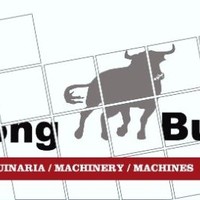 Strong Bull