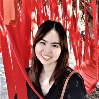 Duong Tieu Phung