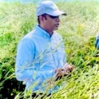 Devender Kadian, PhD