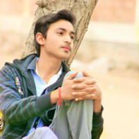 Sameer Roy