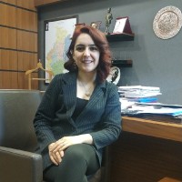 Esra Erdil