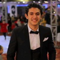 Elsayed Mohammed