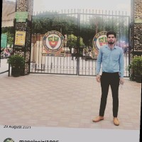 manoj Saini