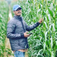 Mahesh Yadav
